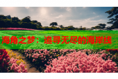 海角之梦：追寻无尽的海岸线