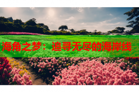 海角之梦：追寻无尽的海岸线