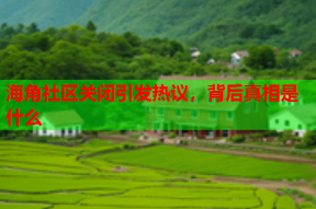 海角社区关闭引发热议，背后真相是什么