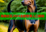 海角社区2024全新登录入口揭秘
