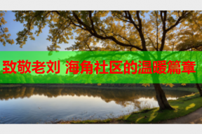 致敬老刘 海角社区的温暖篇章