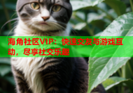海角社区VIP：快速交友与游戏互动，尽享社交乐趣