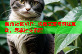海角社区VIP：快速交友与游戏互动，尽享社交乐趣