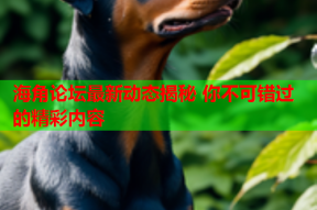 海角论坛最新动态揭秘 你不可错过的精彩内容