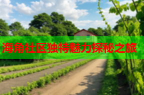 海角社区独特魅力探秘之旅
