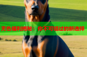 无色福利揭秘：你不可错过的新选择