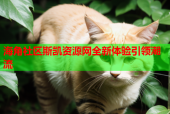 海角社区斯凯资源网全新体验引领潮流
