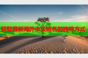 获取最新海外永久域名的独特方式
