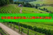海角首页全新登录入口畅享无限精彩