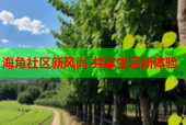 海角社区新风尚 共享生活新体验