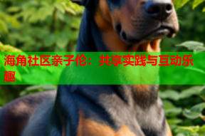海角社区亲子伦：共享实践与互动乐趣