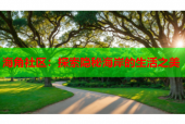 海角社区：探索隐秘海岸的生活之美