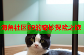 海角社区69的奇妙探险之旅
