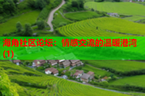 海角社区论坛：情感交流的温暖港湾(1)
