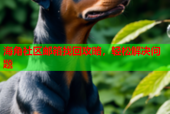 海角社区邮箱找回攻略，轻松解决问题