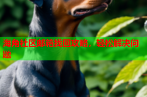 海角社区邮箱找回攻略，轻松解决问题