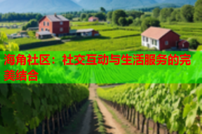 海角社区：社交互动与生活服务的完美结合