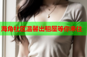 海角社区温馨出租屋等你来住