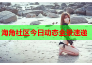 海角社区今日动态全景速递