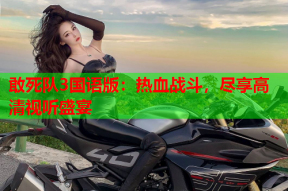 敢死队3国语版：热血战斗，尽享高清视听盛宴