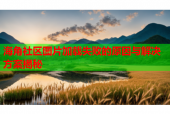 海角社区图片加载失败的原因与解决方案揭秘