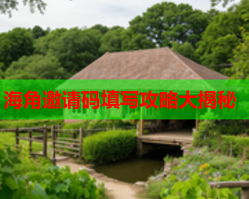 海角邀请码填写攻略大揭秘  第1张