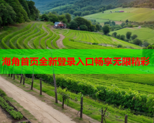 海角首页全新登录入口畅享无限精彩  第1张