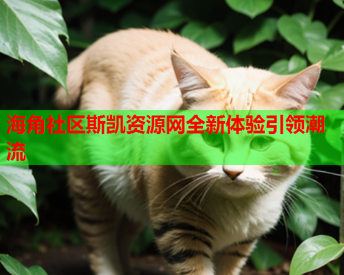 海角社区斯凯资源网全新体验引领潮流  第1张