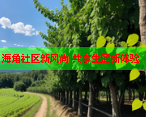 海角社区新风尚 共享生活新体验  第1张