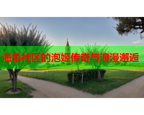 海角社区的泡姬传奇与浪漫邂逅  第1张