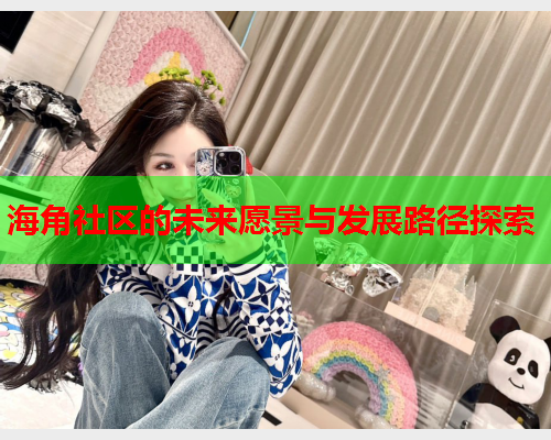 海角社区的未来愿景与发展路径探索  第1张