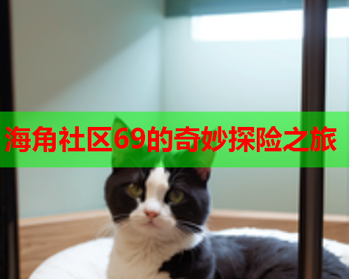 海角社区69的奇妙探险之旅  第1张