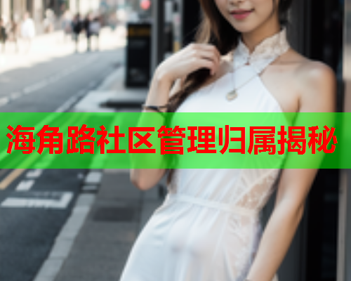 海角路社区管理归属揭秘  第2张