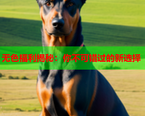 无色福利揭秘：你不可错过的新选择  第1张