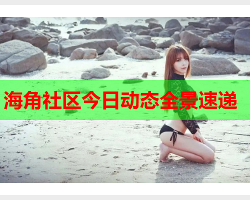 海角社区今日动态全景速递  第1张