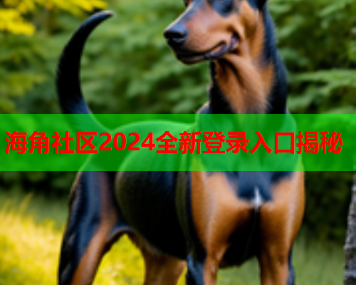 海角社区2024全新登录入口揭秘  第1张