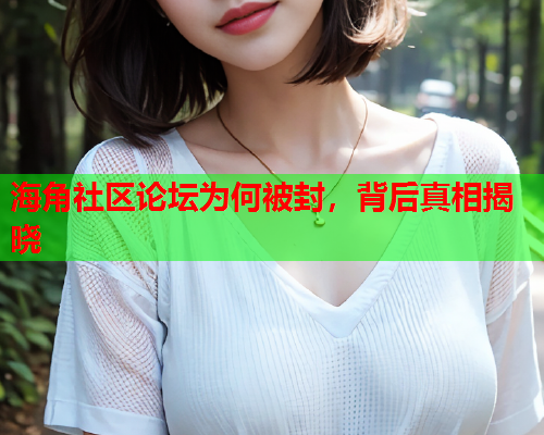 海角社区论坛为何被封，背后真相揭晓  第1张