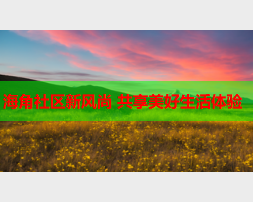 海角社区新风尚 共享美好生活体验  第2张