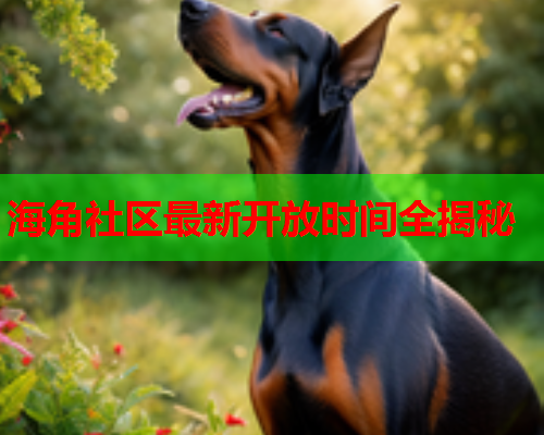 海角社区最新开放时间全揭秘  第2张