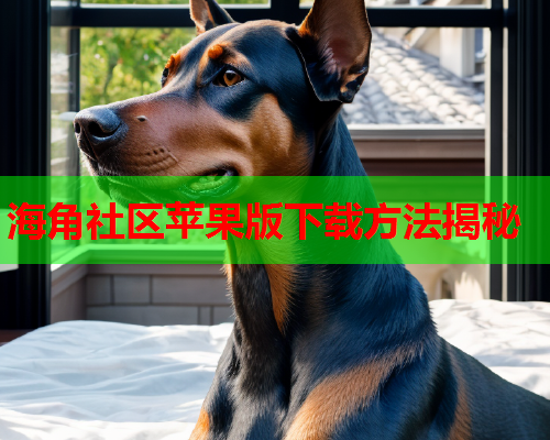 海角社区苹果版下载方法揭秘  第1张