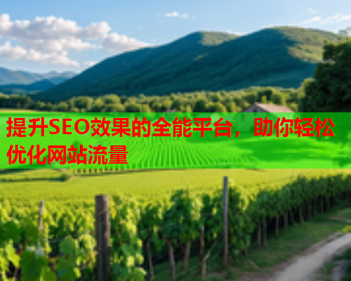 提升SEO效果的全能平台，助你轻松优化网站流量  第2张