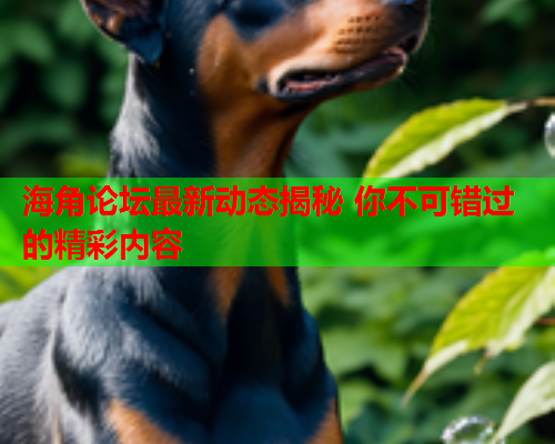 海角论坛最新动态揭秘 你不可错过的精彩内容  第1张
