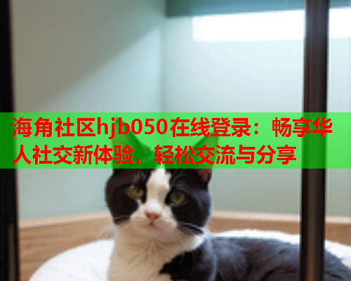 海角社区hjb050在线登录：畅享华人社交新体验，轻松交流与分享  第2张