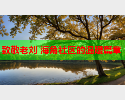 致敬老刘 海角社区的温暖篇章  第1张