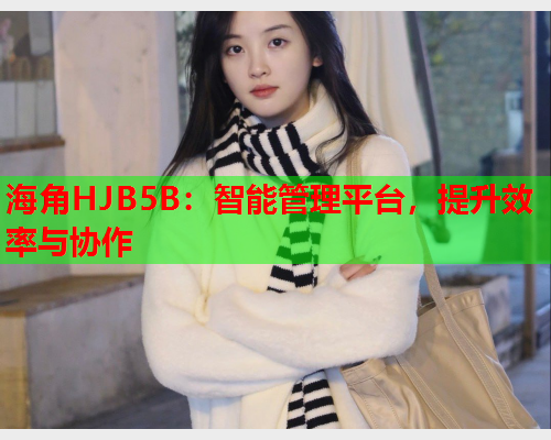 海角HJB5B：智能管理平台，提升效率与协作  第1张