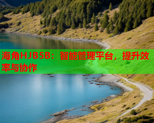 海角HJB5B：智能管理平台，提升效率与协作  第2张