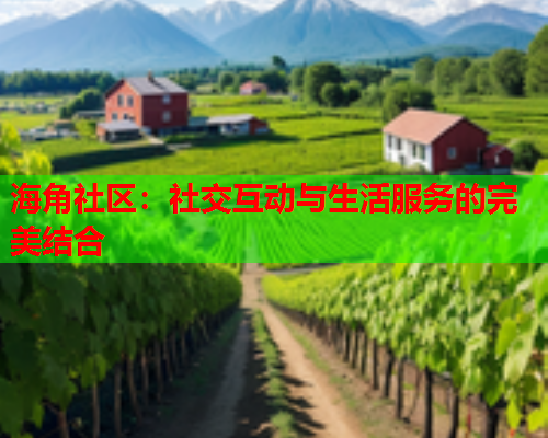 海角社区：社交互动与生活服务的完美结合  第1张