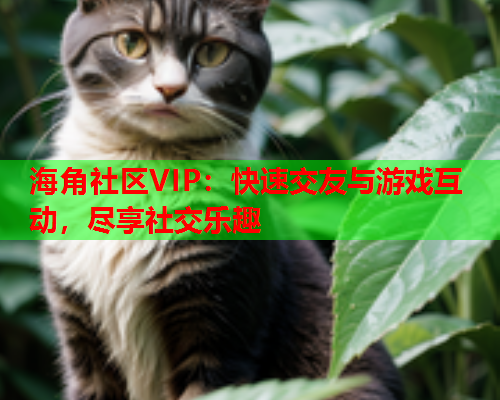 海角社区VIP：快速交友与游戏互动，尽享社交乐趣  第1张