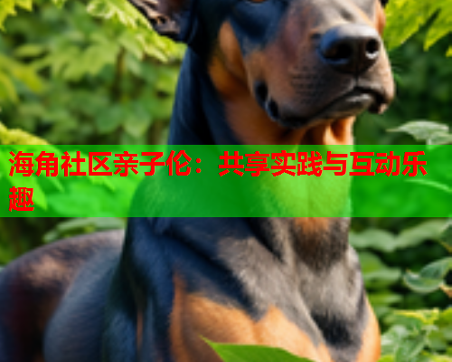 海角社区亲子伦：共享实践与互动乐趣  第1张