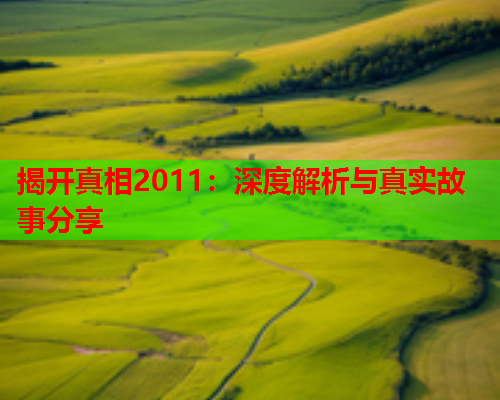 揭开真相2011：深度解析与真实故事分享  第2张